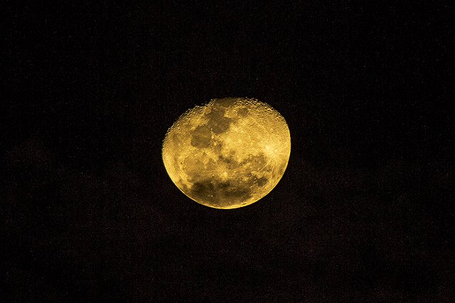 Ритуальному маньяку вынесут приговор 10 марта