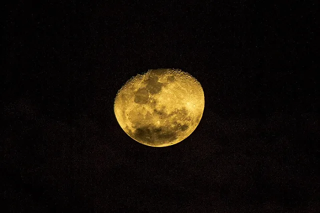 Ритуальному маньяку вынесут приговор 10 марта