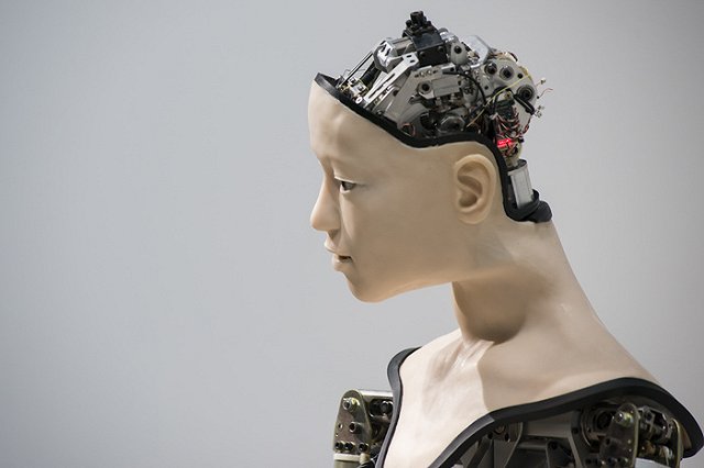 Робота Роберта похитили из автосервиса в Челябинске и сдали на металлолом (ФОТО)