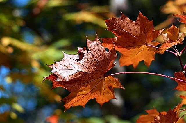 В Свердловскую область идет потепление