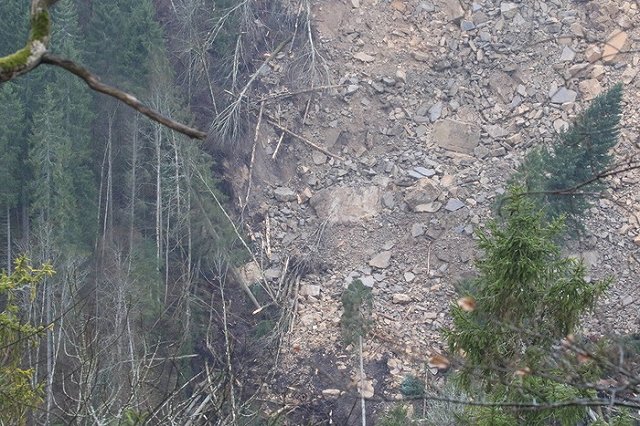В Чечне мужчина упал в пропасть и выжил, зацепившись за ветку