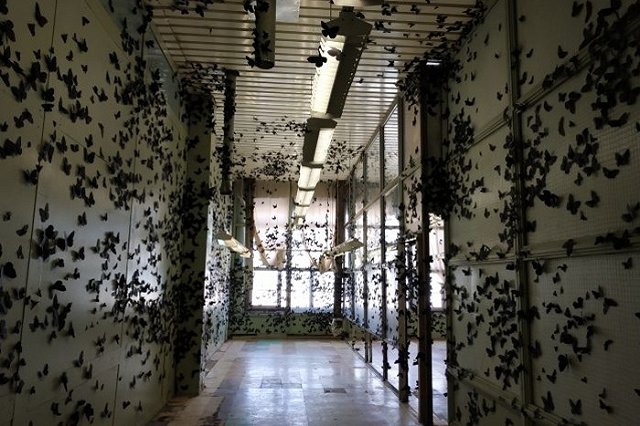 Уральскую биеннале признали выставкой года в России