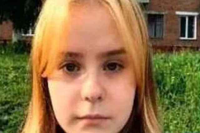 Под Тулой пропала 15-летняя школьница. Её преследовал неизвестный — видео