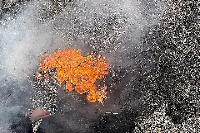 Екатеринбуржцам запретили жарить шашлыки в лесах