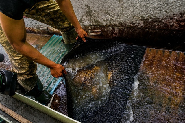 Деятельность старателей легализуют в Свердловской области