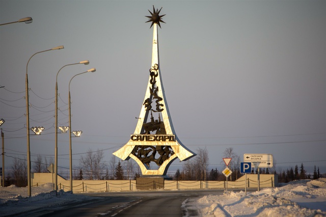 Специалисты хотят убить медведя, впервые напавшего на человека в ЯНАО