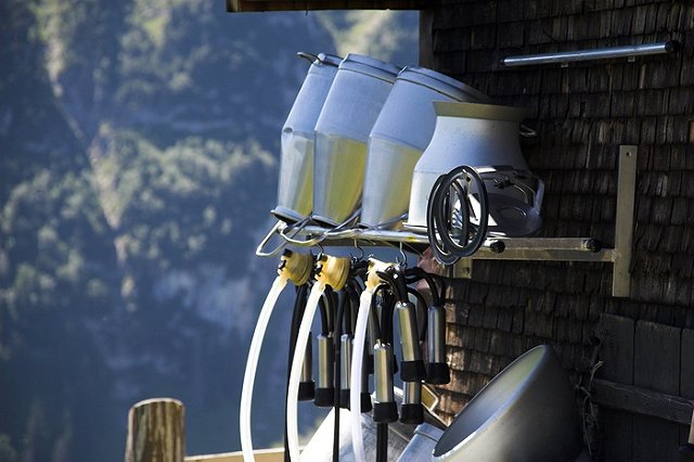 Молокоматы в Перми себя не оправдали. Слишком дорого