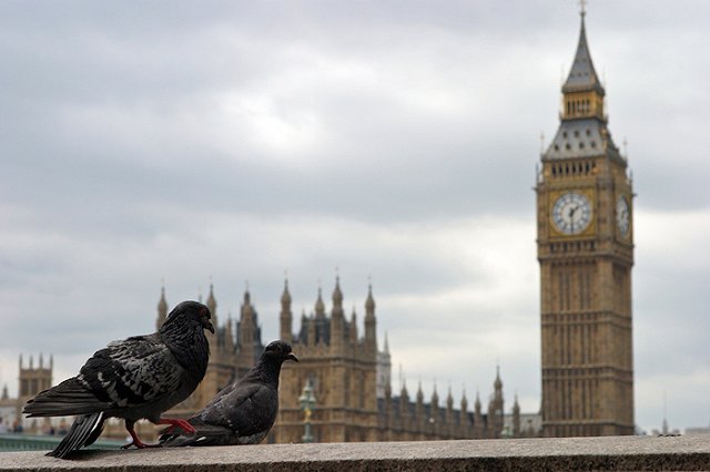 Российские туристы стали чаще отдыхать в Великобритании