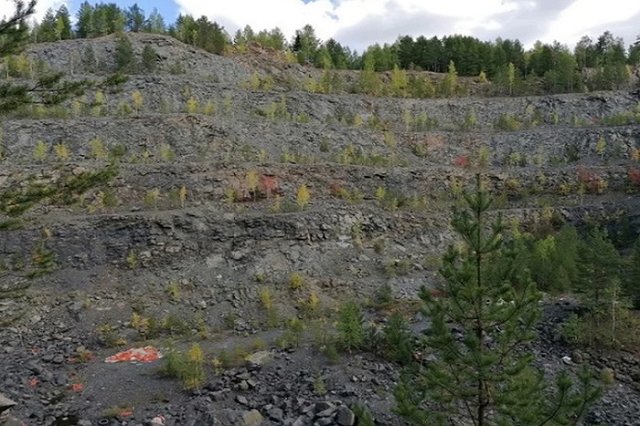 Сообщение показали учителям, но было поздно: подробности гибели школьницы, которую довели до суицида