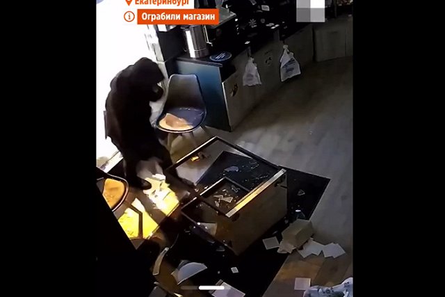 В Екатеринбурге ограбили магазин «Жизньмарт»