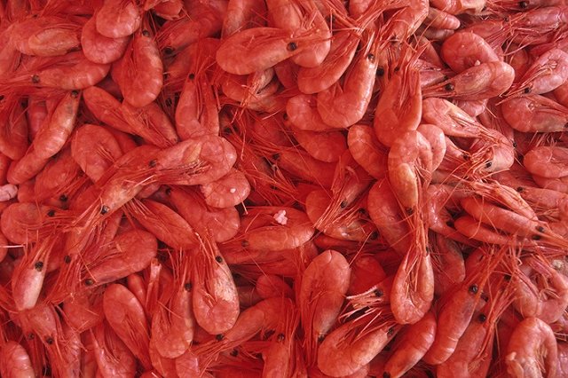 Роспотребнадзор оштрафовал торговую сеть за слишком толстый лед на креветках