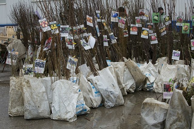 Первая в сезоне ярмарка проходит в эти выходные