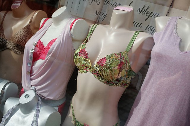 Эксперты ФАС назвали маленькую женскую грудь физическим недостатком