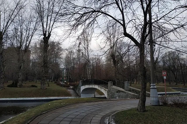 Названа причина аномально тёплой зимы в России