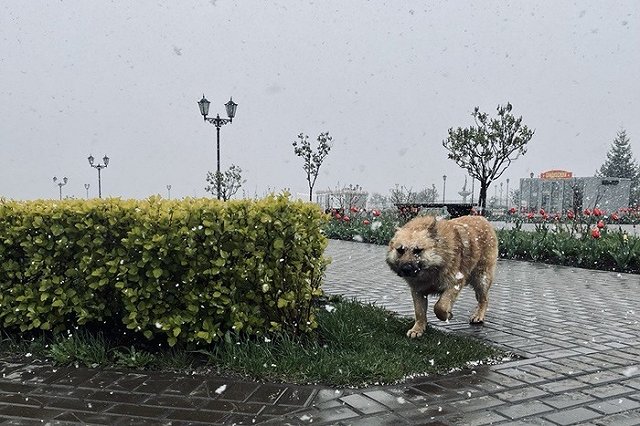 Синоптик сообщила, когда настоящее тепло придет в Свердловскую область