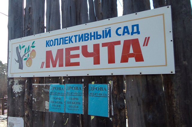 В Подмосковье полиция застрелила стрелявшего по прохожим из травматики