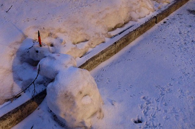 Минувший февраль стал самым теплым месяцем в истории