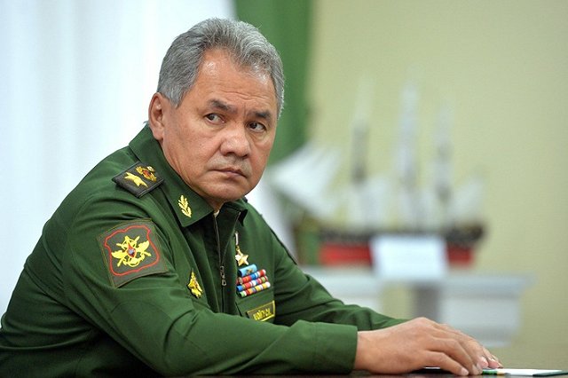Шойгу заявил о прекращении авиаударов под Алеппо