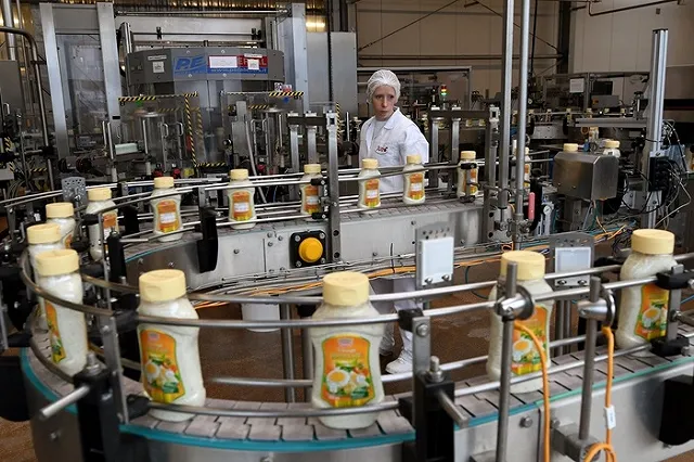 Российские учёные создали инновационные майонезы, которые сделают еду полезнее