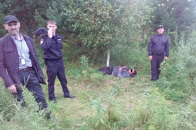 Заблудившийся грибник взобрался на сосну, чтобы крикнуть SOS, но упал вниз (ФОТО)