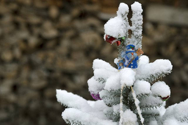 Россиянам рассказали, какая премия по итогам года у них могла бы быть