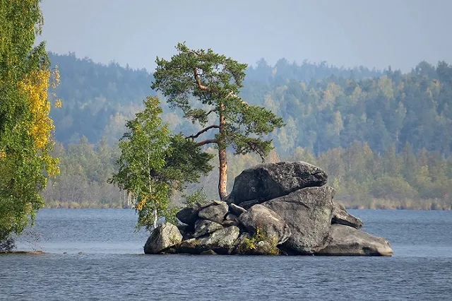 Николай Коляда ответил Познеру, назвавшему промышленный Урал «уродливым»