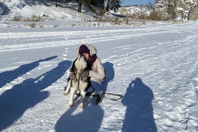 Кинолог рассказал, почему собака машет хвостом