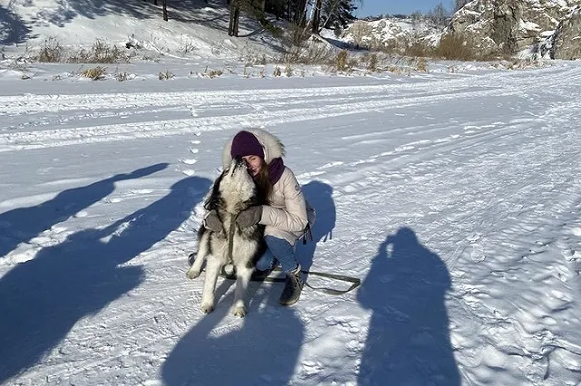 Кинолог рассказал, почему собака машет хвостом