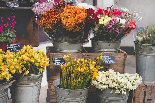 В Екатеринбурге обнаружили зараженные вирусом цветы
