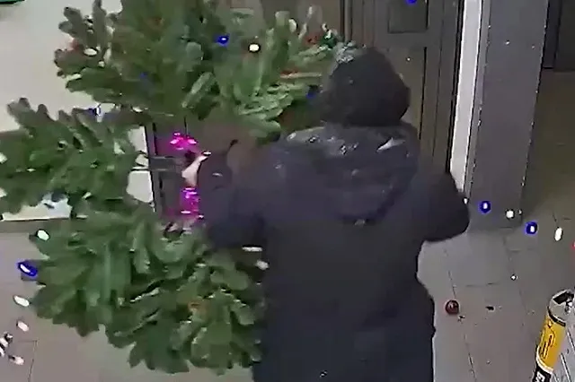 В Светлом компания пьяных парней похитила ёлки из подъезда многоэтажки