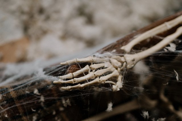 В Екатеринбурге нашли на крыше дома скелет