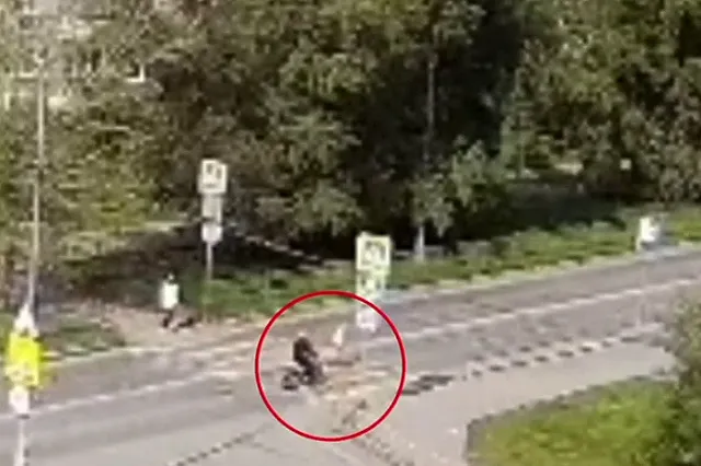 Свердловский подросток без прав сбил 10-летнюю девочку на пешеходном переходе и скрылся с места происшествия