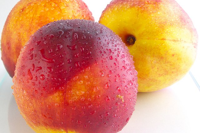 В России заработала «горячая линия» по вопросам питания во время пандемии