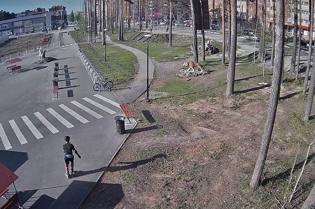 В Берёзовском продолжаются поиски парня на роликах, который насмерть задавил бабушку (ФОТОРОБОТ)