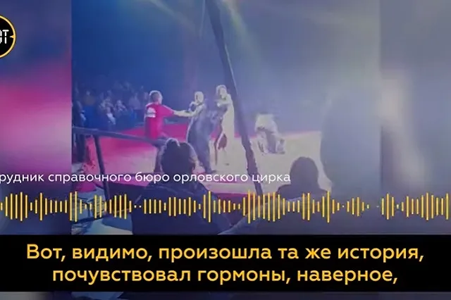 Медведь напал на дрессировщиков во время циркового шоу в Орле