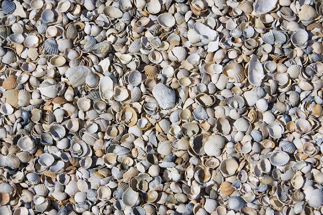 У постпреда Крыма при Путине сдали нервы: Ситуация с «Нордом» вопиющая