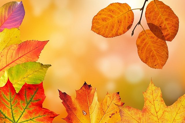 На следующей неделе в Екатеринбурге потеплеет до +18 С