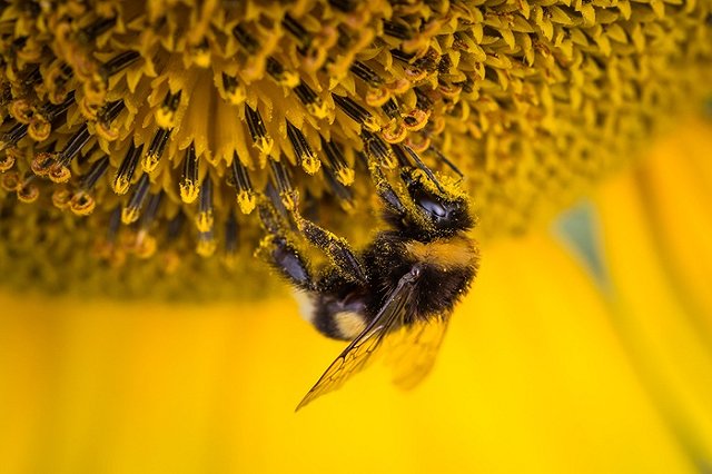 Россия установила новый рекорд в экспорте продовольствия