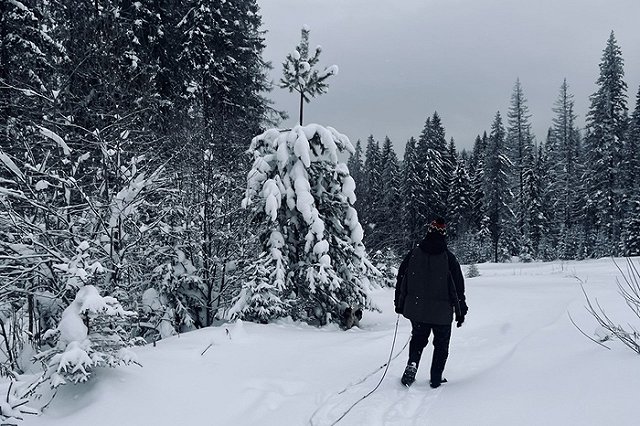На Свердловскую область надвигаются мощные снегопады