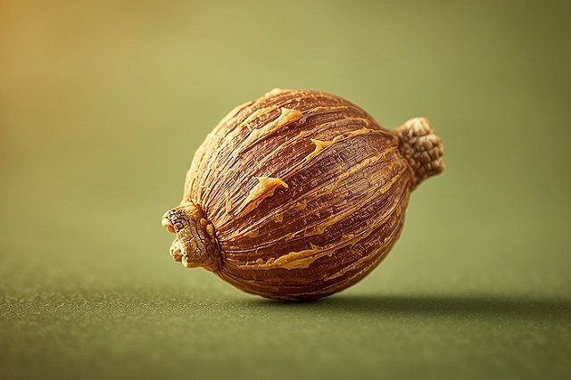 Врач объяснила опасность для здоровья жевания «пьяных» орехов