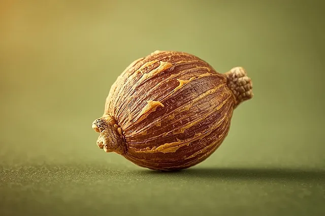 Врач объяснила опасность для здоровья жевания «пьяных» орехов