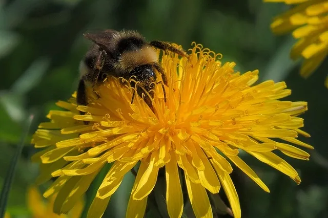 Теплое лето на Урале закончится через два дня