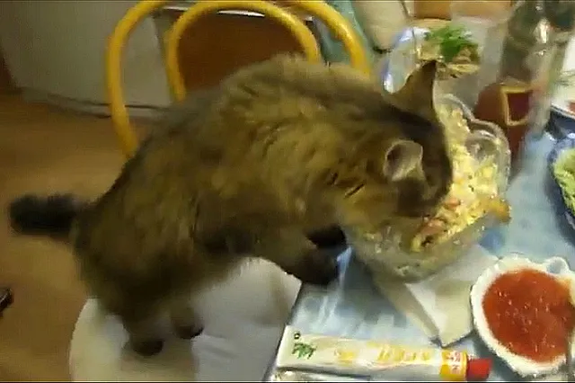 Россиянам рассказали о неожиданной опасности оливье