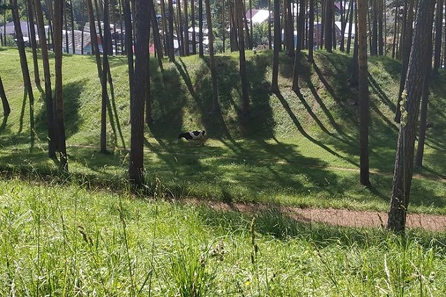 Варламов обозвал «глупым» депутата Ионина, вступившегося за уральцев