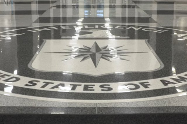 В ЦРУ подтвердили гибель сражавшегося в ДНР на стороне России сына замдиректора ведомства (ФОТО)