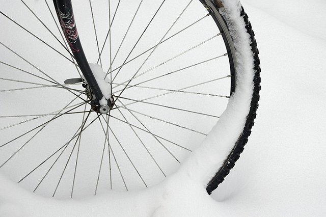 «Вы покупаете слишком дорогие велосипеды и чересчур боитесь холода»