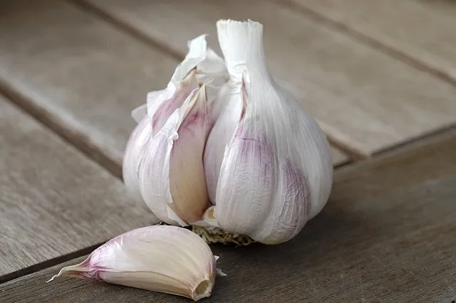 Учёные обнаружили ещё одну причину полюбить чеснок