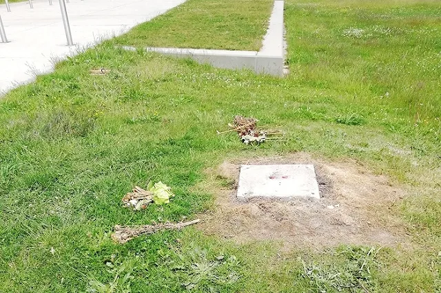 В Бельгии снесли памятник латышским легионерам «Ваффен СС»