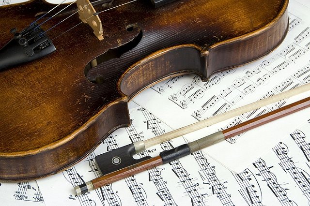 Кольцовская таможня вернула чешскому музыканту изъятую скрипку