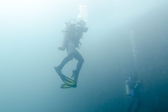 Водолазы сообщили о состоянии фюзеляжа разбившегося Ту-154